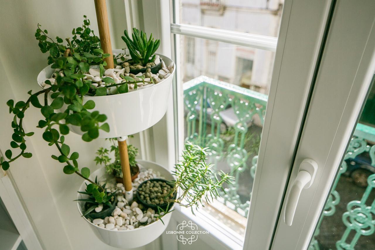 Very Central And Charming Apartment 60 By Lisbonne Collection ภายนอก รูปภาพ